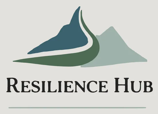 Resilience Hub - Partner Programowy